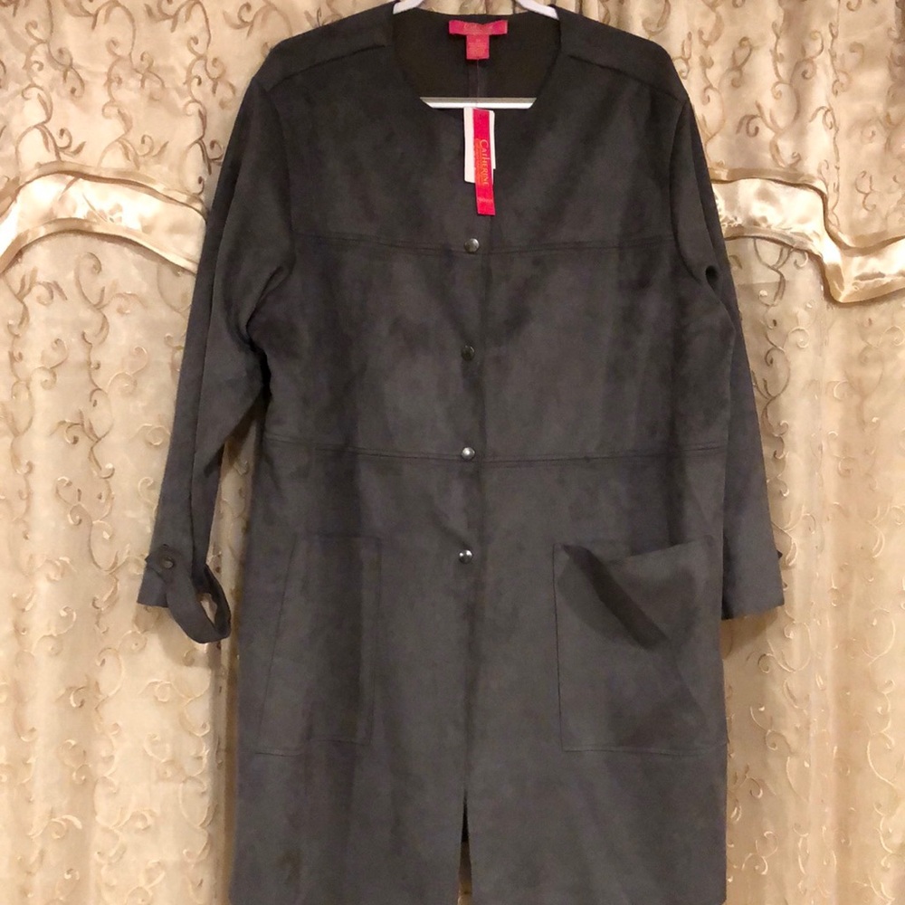 NWT CATHERINE MALANDRINO JACKET COAT DRESS SUEDE FAUX FUR GRAY STUNNING SZ 3X